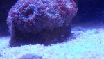 20190402_175745.jpg 20190402_175745.jpg