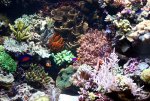 IMG_9774.JPG