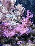 IMG_20190808_155959.jpg