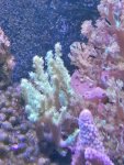 IMG_20190808_155941.jpg