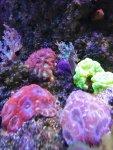 IMG_20190808_155929.jpg