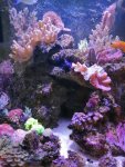 IMG_20190808_155900.jpg