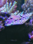 IMG_20190817_183630.jpg