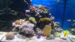 ForumRunner_20130512_200306.jpg
