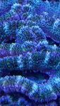 20190930_183222.jpg