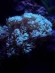 20190930_184004.jpg