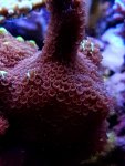 20190930_183824.jpg