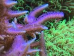 IMG_0669.jpg