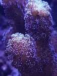 20190930_183643.jpg
