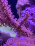 779FFE20-A221-415F-9357-5F09F84FBDA5.jpeg