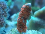 20191001_141534.jpg