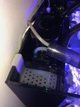 IMG_5677.JPEG IMG_5677.JPEG