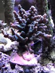 IMG_2163.JPG