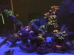 IMG_2182.JPG