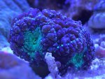 E241EA68-D9E1-4122-A6C6-EFDA80F4EC56.jpeg
