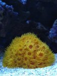 IMG_20191102_213208.jpg