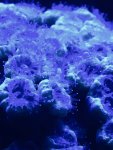 A3989C25-9B18-401E-8D56-83849DDD156C.jpeg