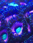 30458BA6-78DC-4D49-8A3C-772E0247596E.jpeg