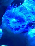 0C8CCADF-3B06-43C3-B967-6CE085CC498A.jpeg
