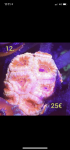116EF64C-5BCD-4857-9BDE-1324754EE496.png