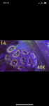 A8557D2E-DCC4-47FD-88B0-1762A876D50B.png