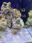 D1C386B1-B8F1-4905-9F56-2D924B23B900.jpeg