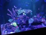 IMG_20191219_200855.jpg