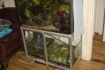 DSC00908.JPG