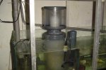 DSC00910.JPG