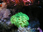 20061001.JPG