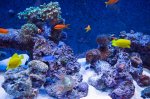 IMG_0874.jpg