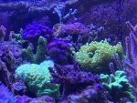 3B18AC95-ACF1-4B28-BDF4-B7885F8817F3.jpeg