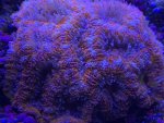 F3656E9E-2DF2-4A39-B0FC-43D10A795854.jpeg