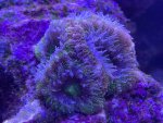 992A82BA-5B3B-4C2E-A9BF-AA4668A160E5.jpeg