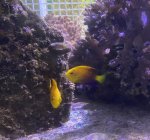 IMG_2868.jpeg