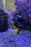 IMG_2921.jpeg