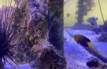 IMG_2937.jpeg