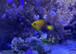 IMG_2954.jpeg