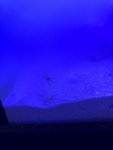 99A3B642-AAE7-41F5-A7AD-F3FDCADCFEB6.jpeg