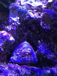 845B0877-4D66-4758-8ABC-E35E6E0A6199.jpeg