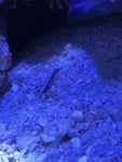 52640193-E79B-43B4-BBAB-CCFF59228236.jpeg