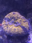 1F895510-DBBC-4BF5-BB2F-D623860C0FB6.jpeg