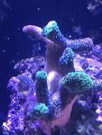 29022675-61EE-4998-B5E0-E557722EDDF2.jpeg
