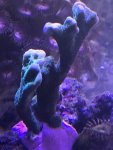 BA8A334D-A826-475C-8ADD-049703D8D0AA.jpeg