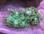 18BC40DE-D41F-4AE2-8E0E-F7AEBB20D05A.jpeg