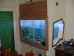 DSC00936.JPG