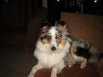 DSC01311.JPG