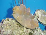 DSC04324.JPG