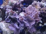 DSC04333.JPG