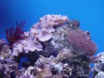 DSC04332.JPG